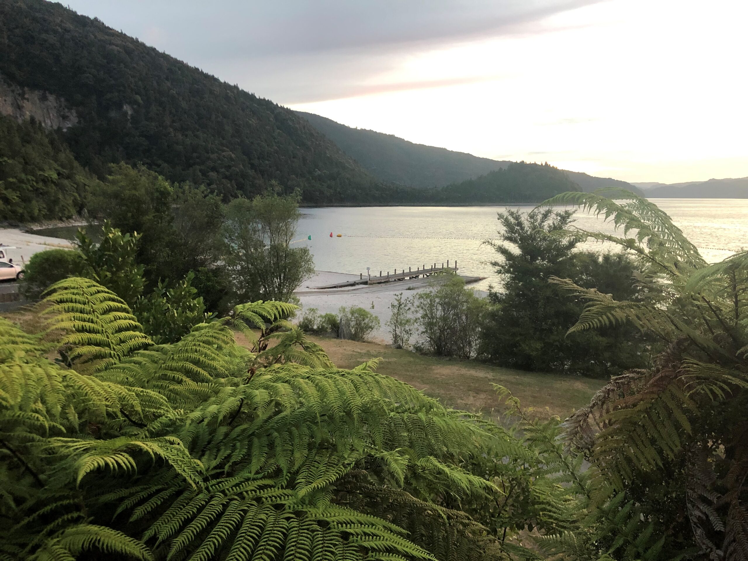 lake in green tones